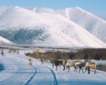 Dempster Highway