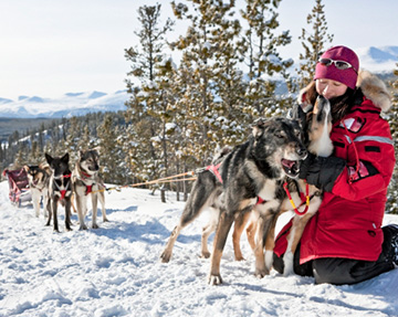 Dogsledding